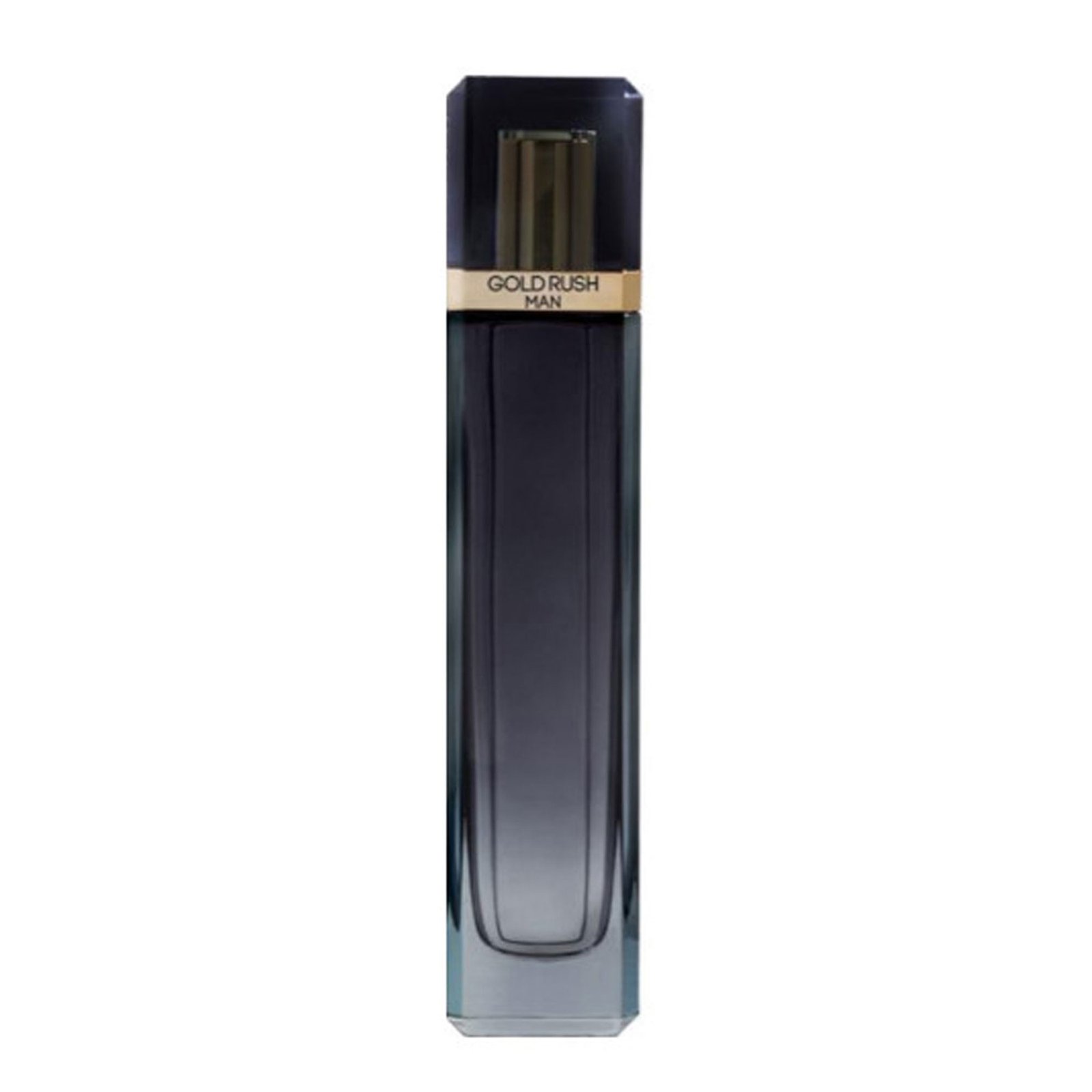PARIS HILTON GOLD RUSH MAN 100 ML EDT